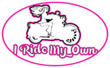STICKER I Ride My Own Reflective Helmet Decal Sticker, 7 Colors